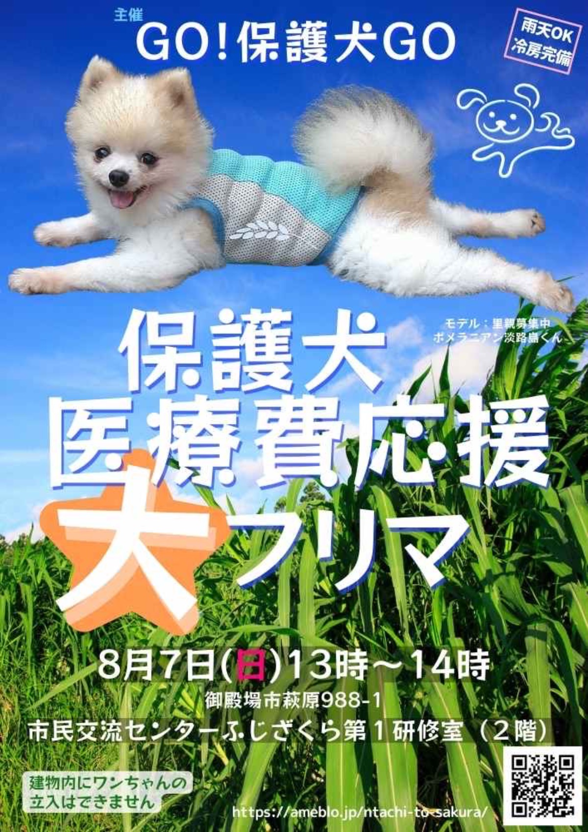 保護犬医療費応援フリーマーケット 沼津発 出張整体 癒し便cocomomi ココモミ